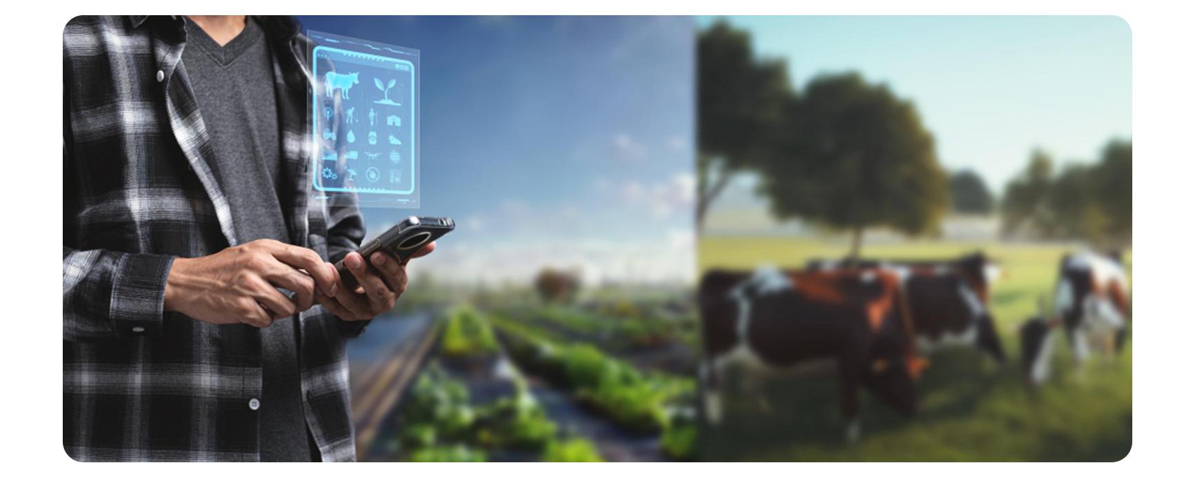 16 высокооплачиваемых профессий на Северном Кипре, о которых нужно знать