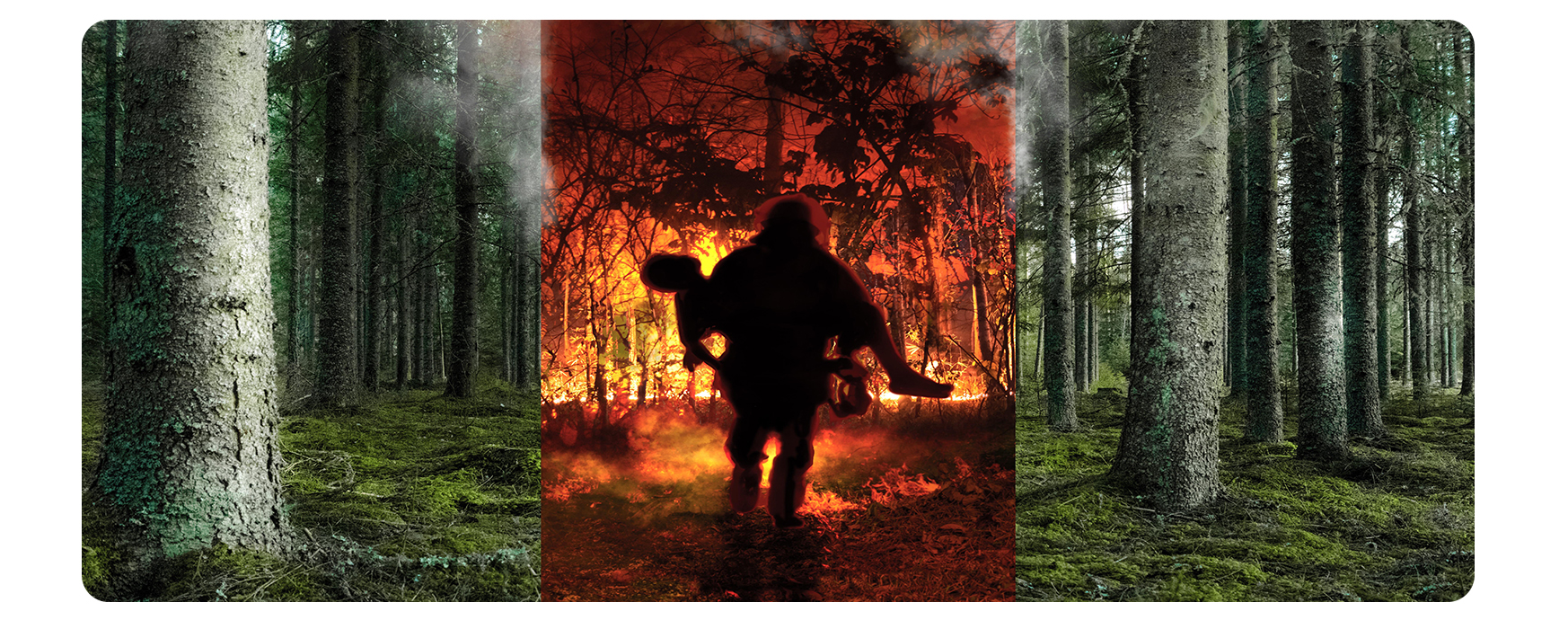 امنیت قبرس شمالی در بلایای طبیعی