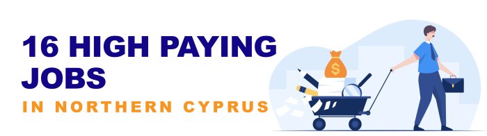 16 شغل پردرآمد در قبرس شمالی که باید بدانید